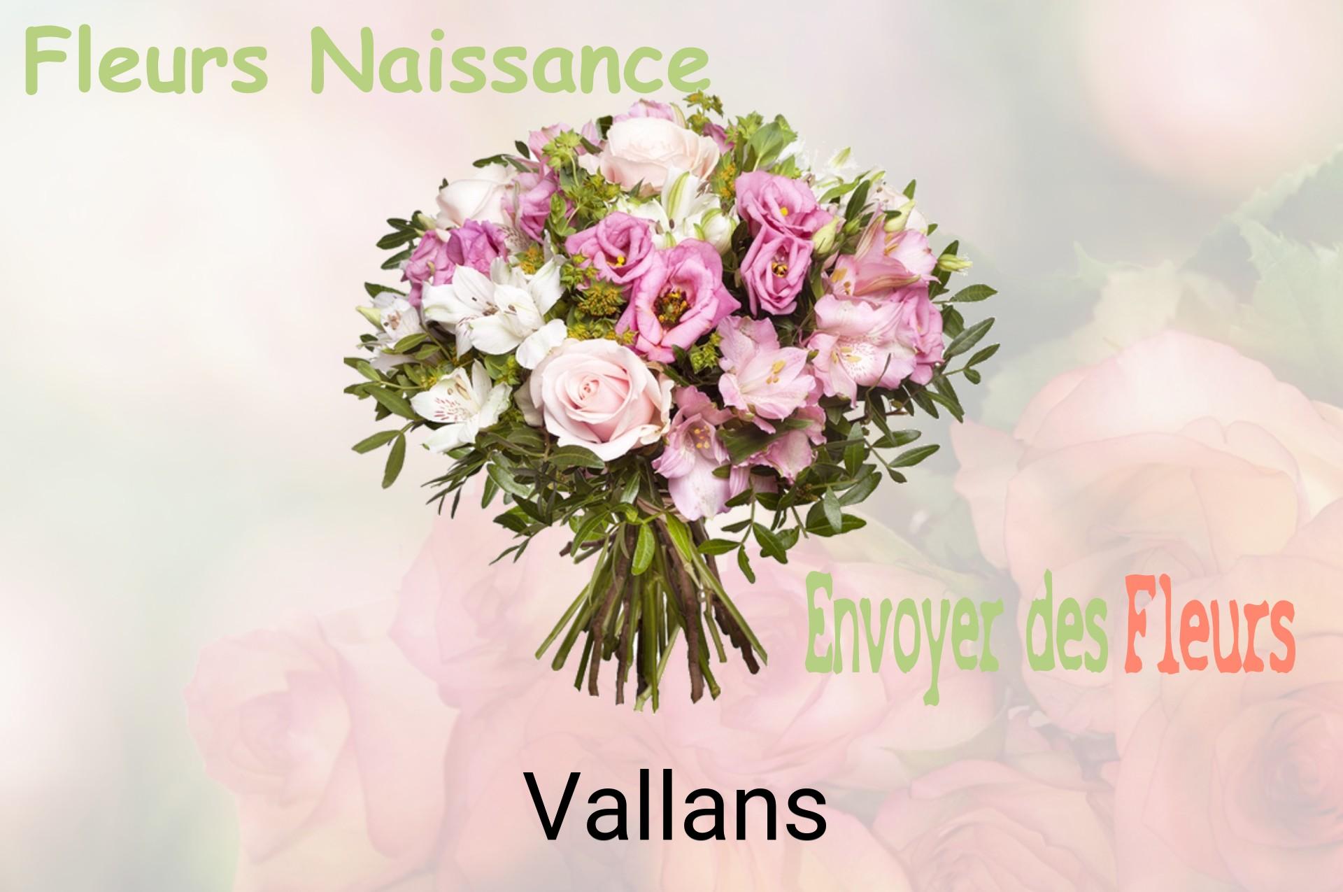 Bouquet de fleurs de naissance livré à Vallans
